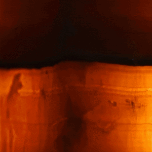 Beyond the Mainstream: Why Niche Fragrances Capture Australia's Untamed Spirit