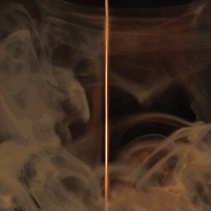 When Luxury Meets the Wild: The True Cost of Exceptional Cologne