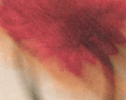 Abstract red watercolor texture with soft gradients and organic brush strokes.