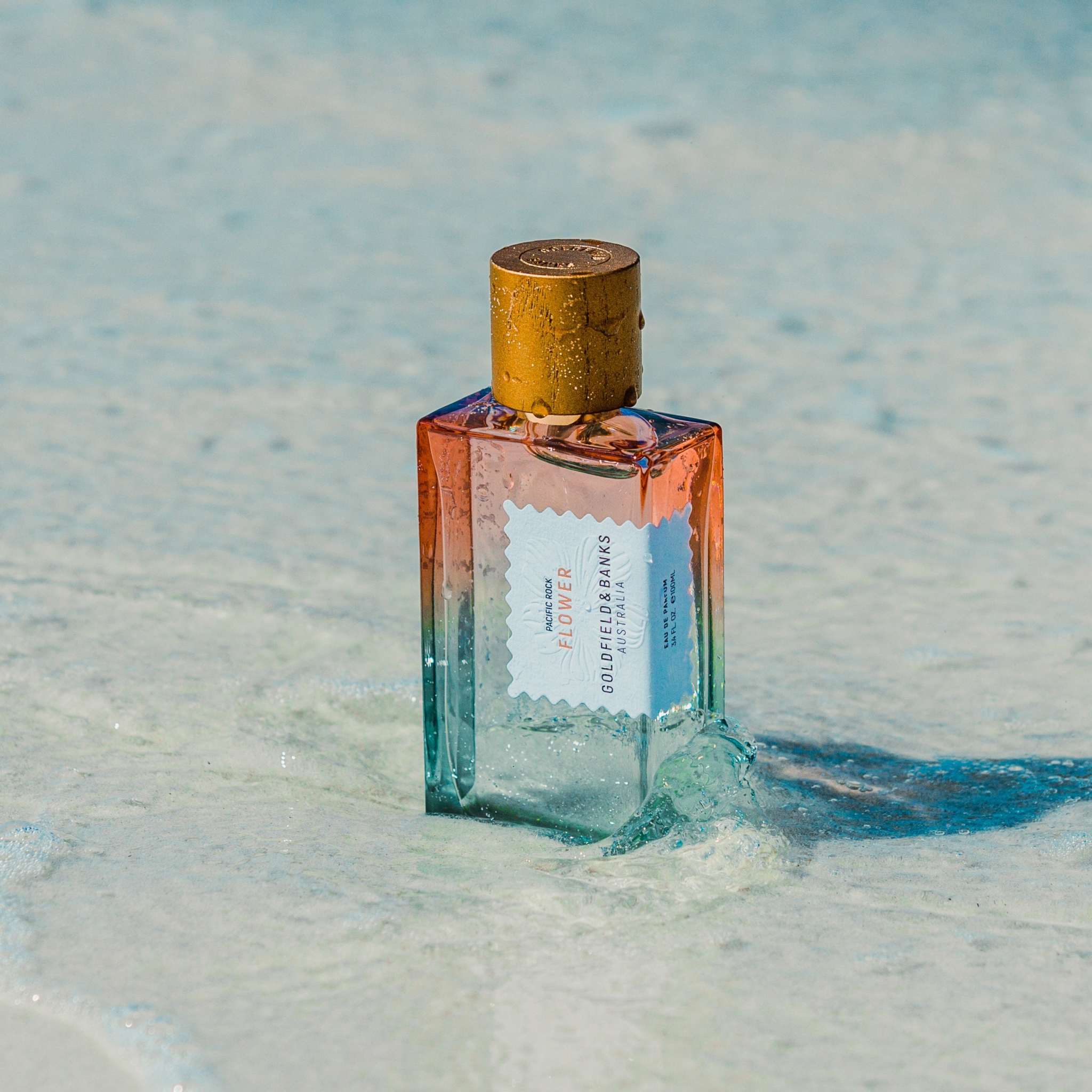 PACIFIC ROCKMOSS 香水 GOLDFIELD & BANKS Amazon.com : GOLDFIELD