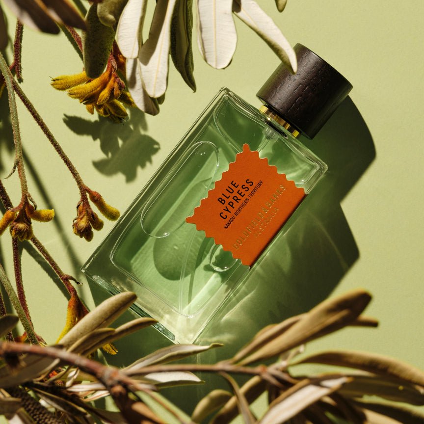Blue Cypress Eau de Parfum – Cool Australian Cypress Blue