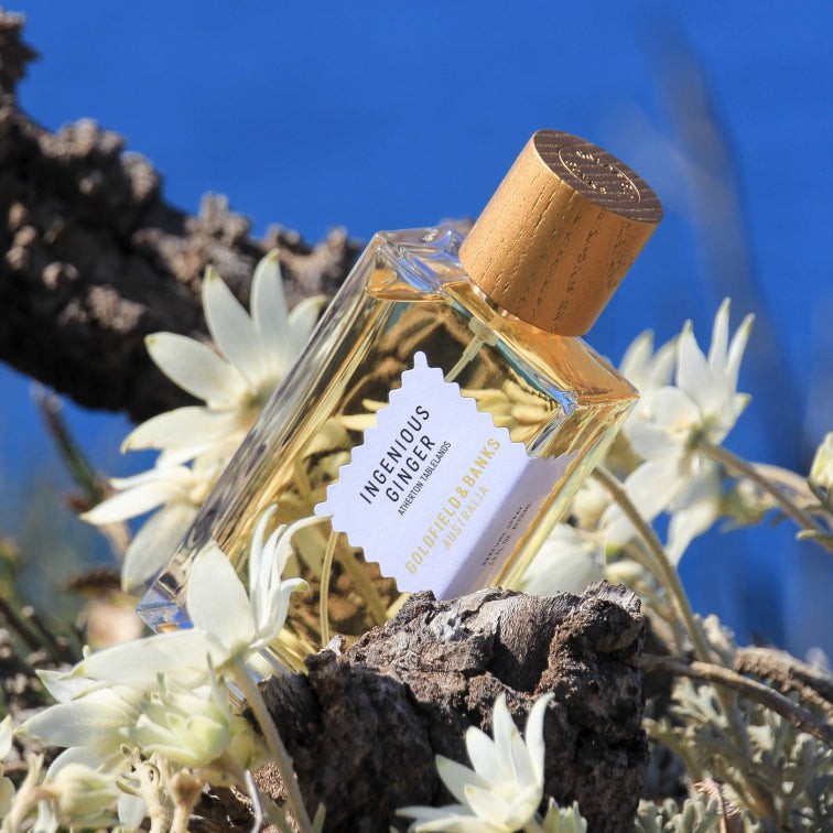 Ingenious Ginger Eau de Parfum | Floral Amber Fragrance