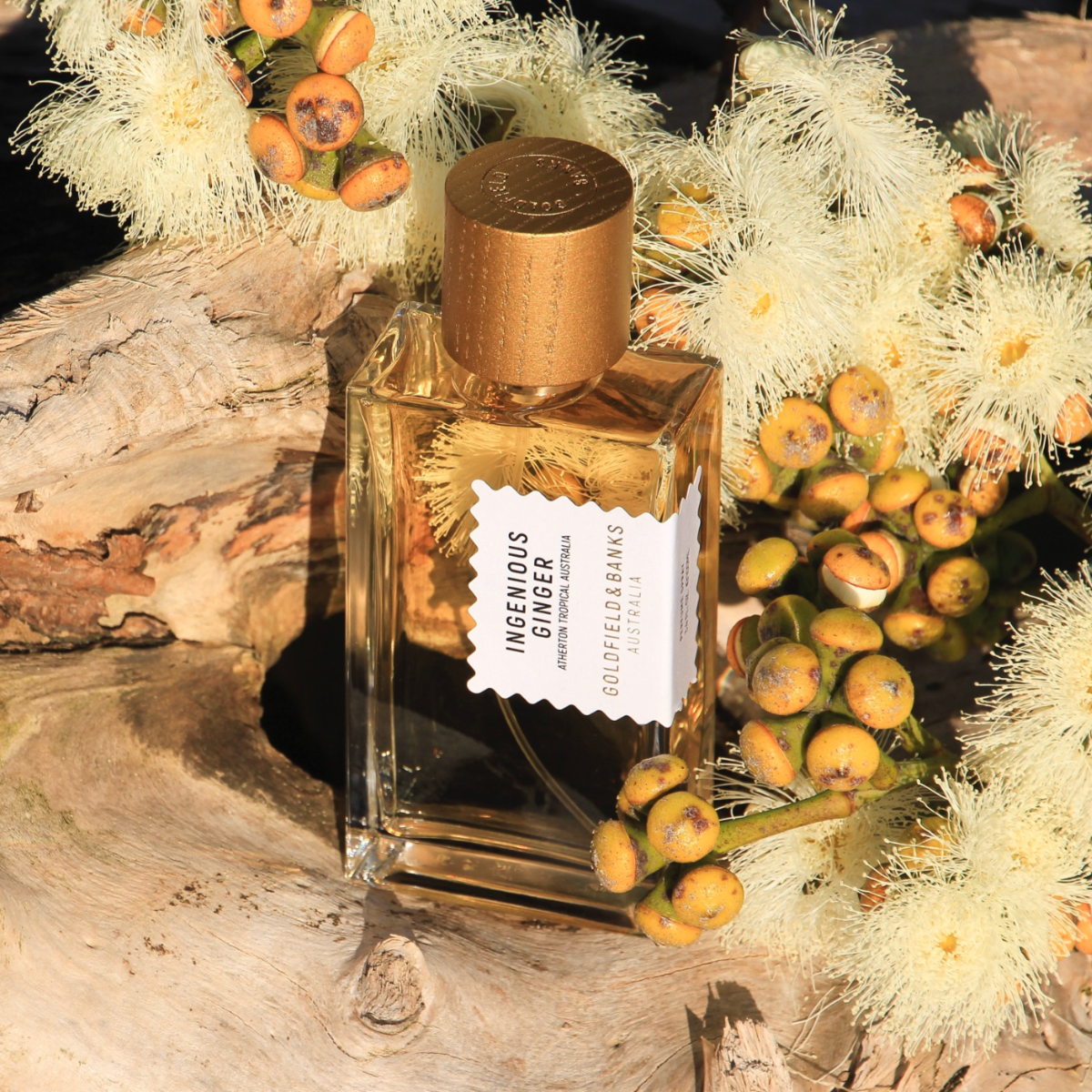 香水(ユニセックス) goldfield & Banks Ingenious Ginger 100ml 香水(ユニセックス) goldfield & Banks Ingenious Ginger 100ml