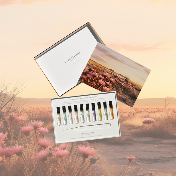 NEW | Discovery Sample Collection (10 x 2ml)